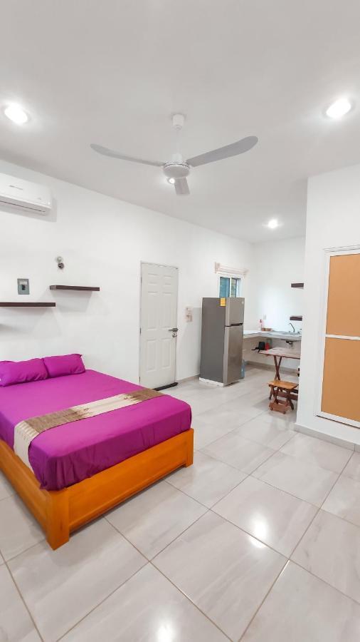 Departamento Centrico Con Estacionamiento Apartment Felipe Carrillo Puerto Luaran gambar